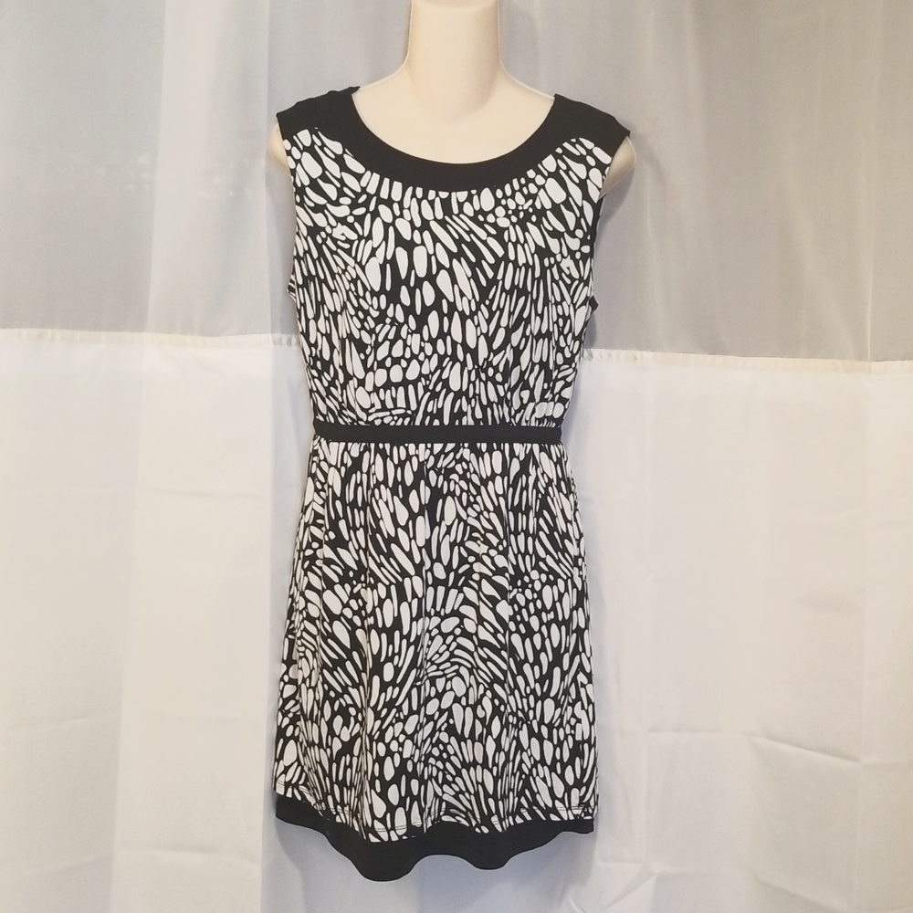Ann Taylor LOFT Black & White Dress PM